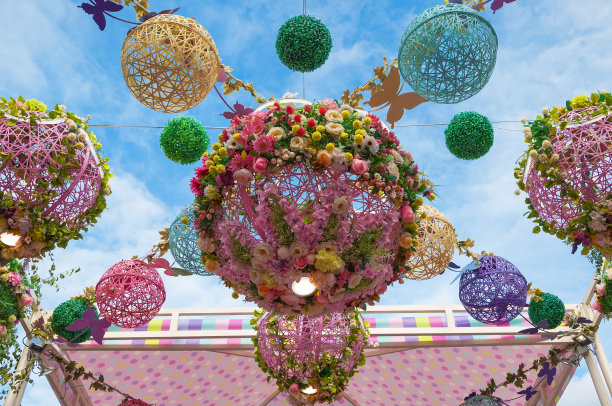 球的花图片下载