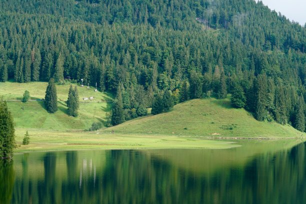 斯匹辛湖的森林图片下载