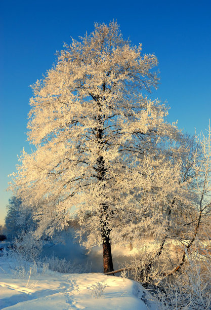 冬天的早晨图片下载
