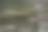 数码艺术，彩绘效果，粉红睡莲种植花园池塘图片下载