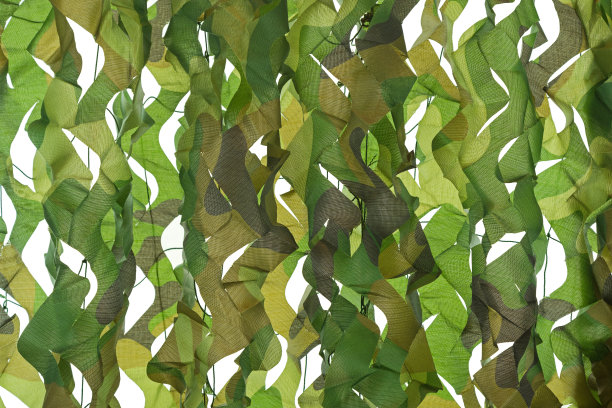 用于隐藏、伪装的伪装图案网。白色上的详细纹理图片下载