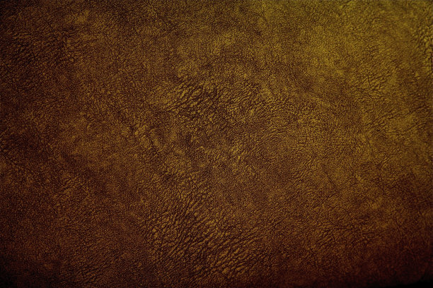 棕色皮肤大象皮革纹理图案背景外星恐龙爬行动物图片下载