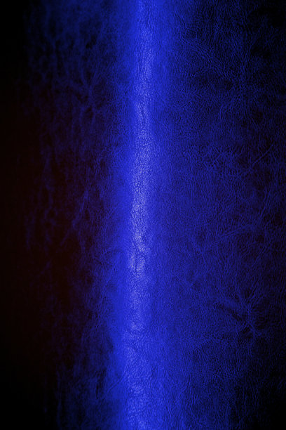 蓝色射线皮革纹理图案背景外星人皮肤恐龙爬行动物图片下载