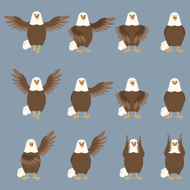 一组平鹰图标图片下载