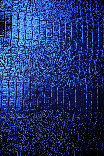 外星皮肤鳄鱼大象恐龙爬行动物皮革纹理图案背景图片下载