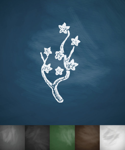 樱花图标。手绘矢量图图片下载