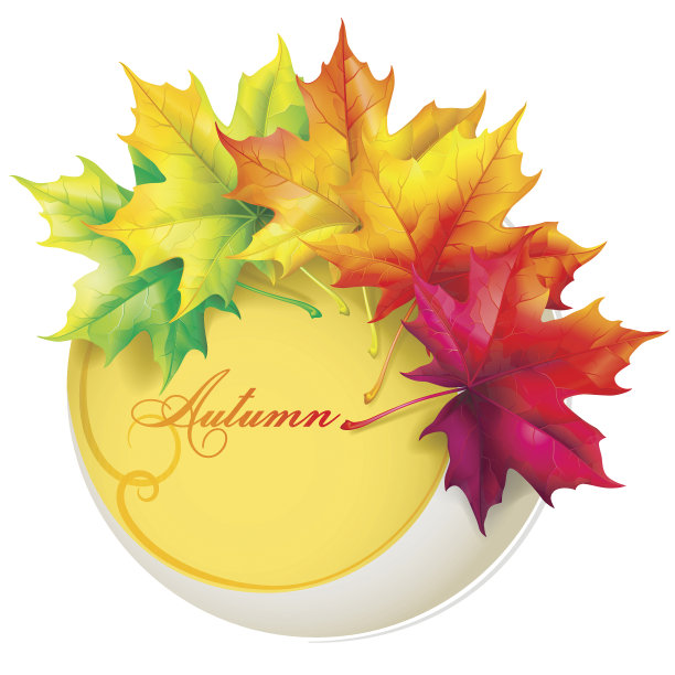 一套秋叶的枫叶。素材图片