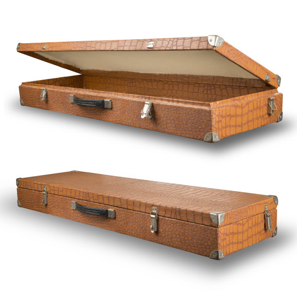 用鳄鱼皮装的旧手提箱图片下载