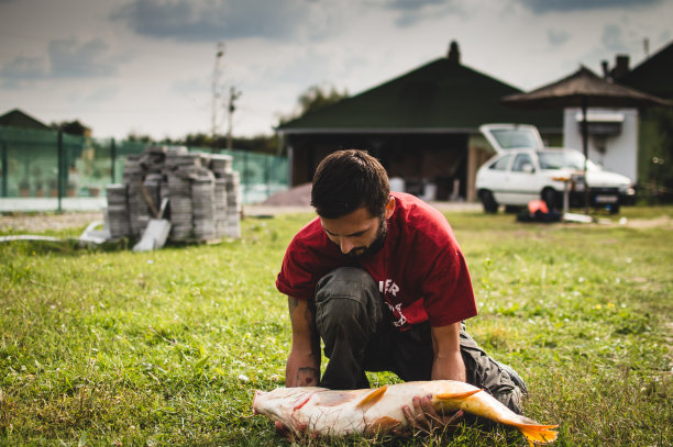 鲤鱼钓鱼图片下载