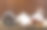茶图片素材ID：136860766