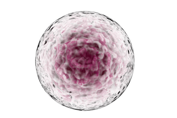 干细胞素材图片