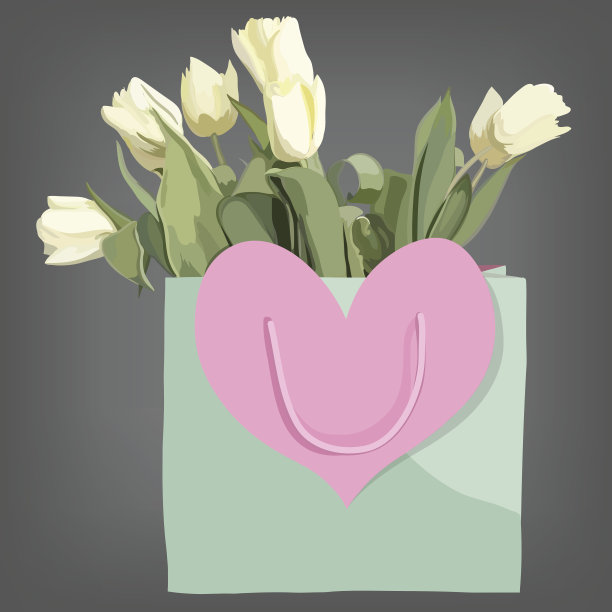 袋花和郁金香花孤立在灰色的背景上。图片下载