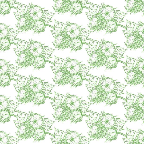 无缝素描棉枝图片下载