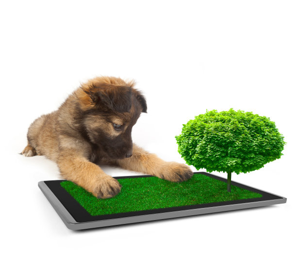 平板电脑图片下载