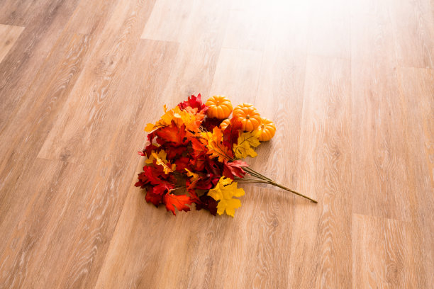 橙色的南瓜，红色的叶子图片下载