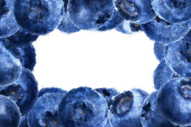 许多多汁和新鲜的水彩蓝莓在白色的背景图片下载