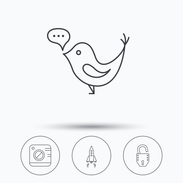 照片、社交媒体和火箭图标。图片下载