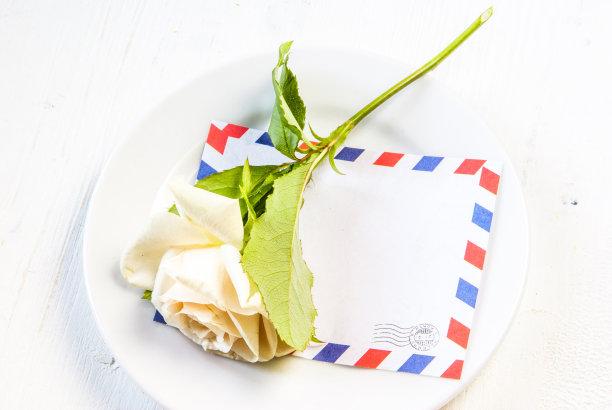 温柔的粉色的玫瑰图片下载