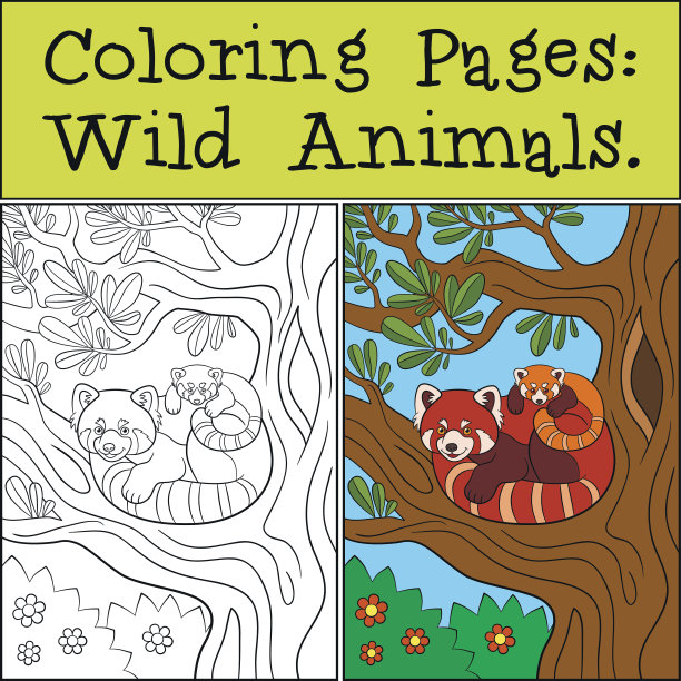 涂色页:野生动物。小熊猫妈妈和她的宝宝。图片下载