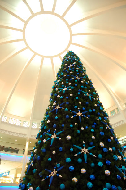 圣诞树图片下载