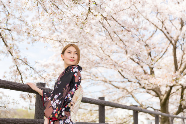 穿着樱花图案和服的日本妇女图片下载