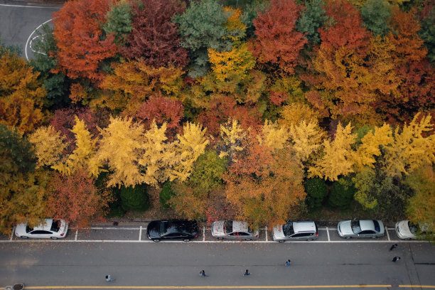 窗外的城市景色图片下载