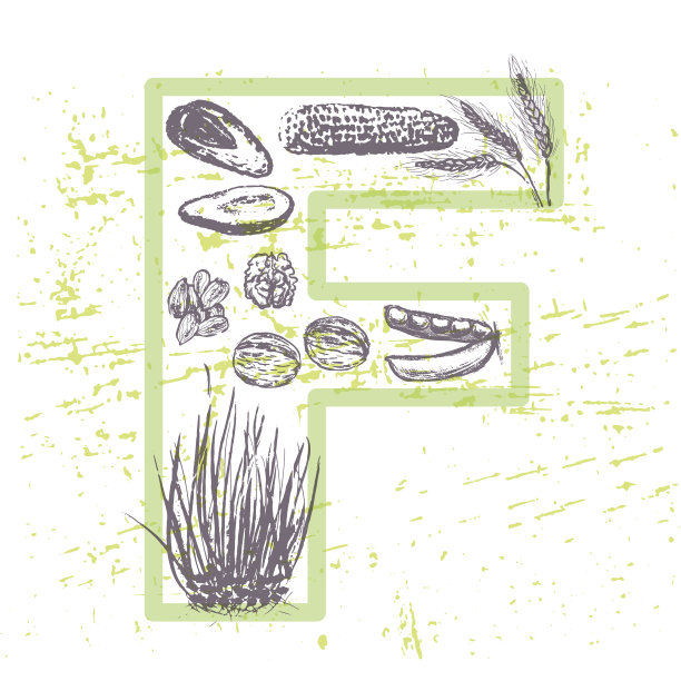 墨水手绘的水果和蔬菜中含有维生素F图片下载