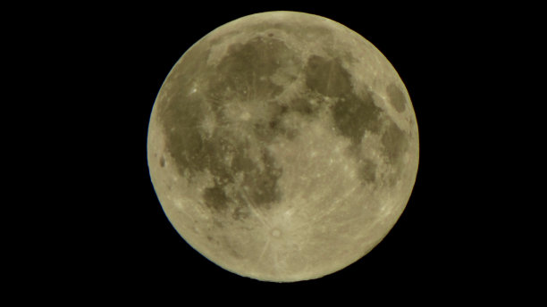 沃尔蒙德图片下载