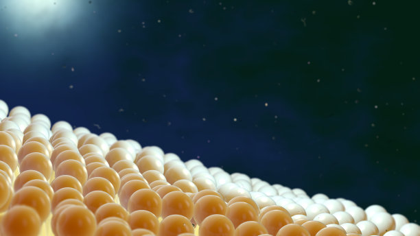 细胞膜Lipiddoppelschicht图片下载