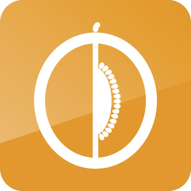 瓜轮廓图标。水果图片下载