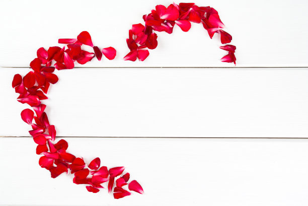 玫瑰花瓣照片素材ID：137039740