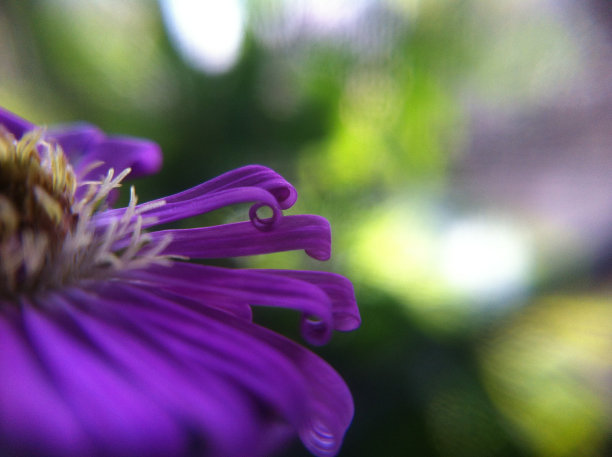 另外一半图片下载