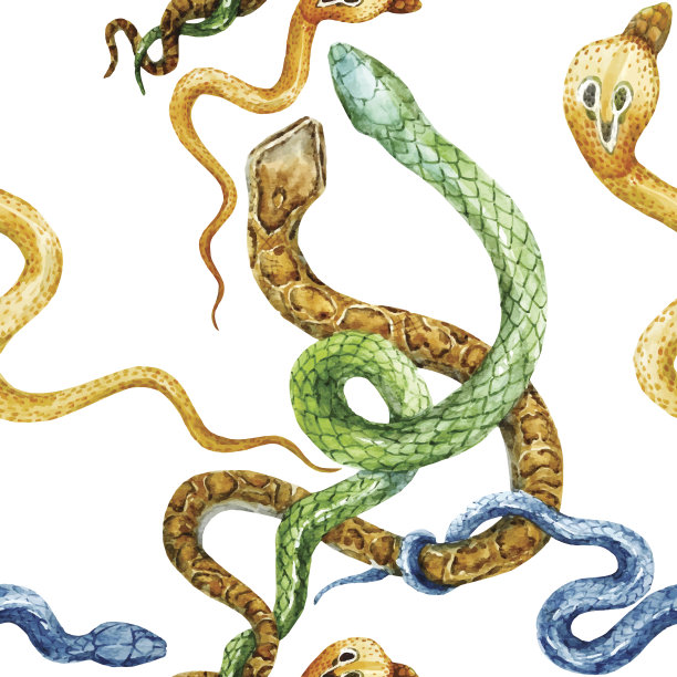 水彩蛇花图案图片下载