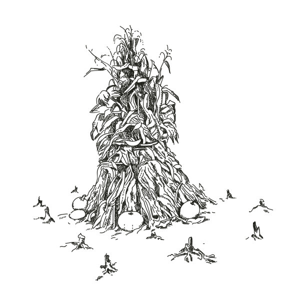 玉米秸秆。图片下载