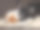 有趣的猫和狗躺在地板上，素材图片