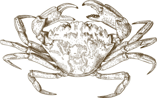 螃蟹版画插图图片下载