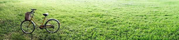 全景图黄色自行车在绿色草地上图片下载