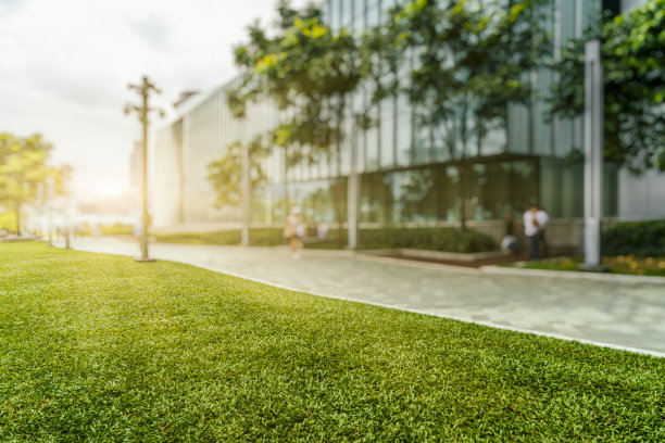 白天的香港城市天际线和绿色草坪图片下载