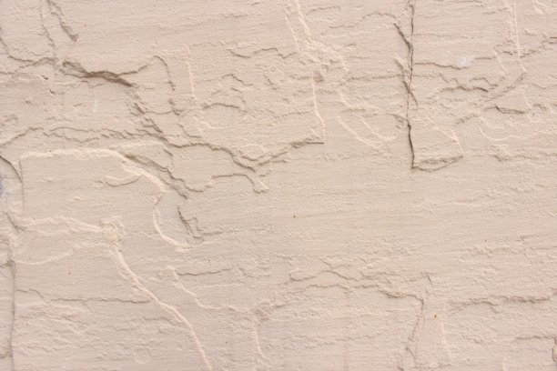 杏子干墙图片下载