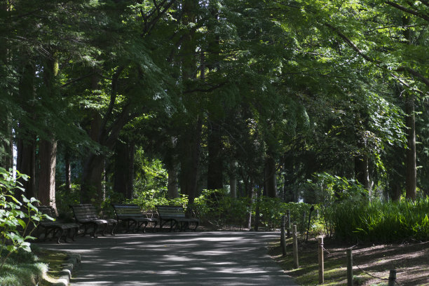 公园里的长椅图片下载