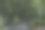 公园里的长椅图片下载
