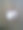 山毛榉树上的识别标签图片下载