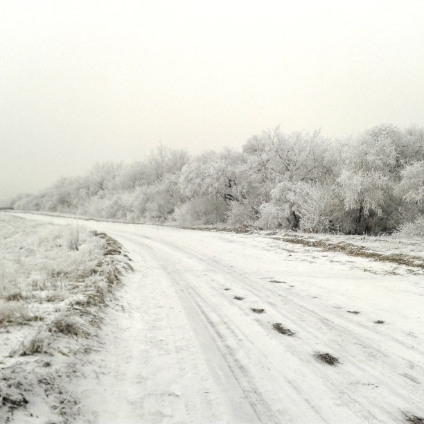 田野上的冬天。图片下载