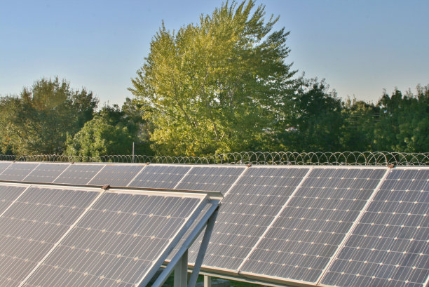 有树木和蓝天的太阳能板图片下载