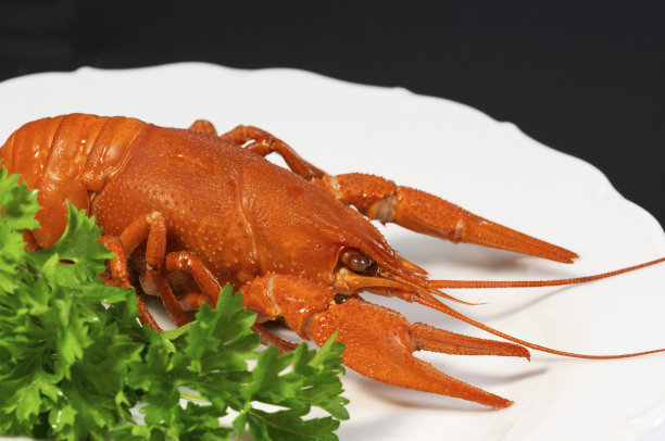 盘子里的小龙虾(黑色背景)图片下载