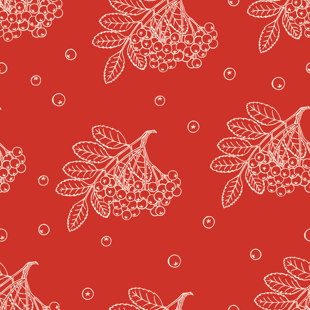 无缝素描成熟花楸图片下载