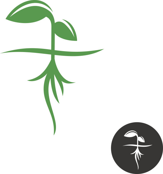 植物有根发芽图片下载