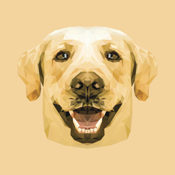 拉布拉多寻回犬低聚。图片下载