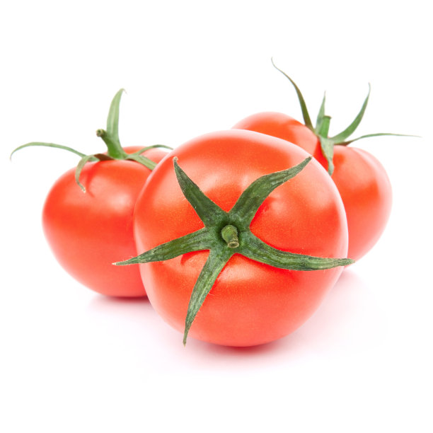 番茄图片下载