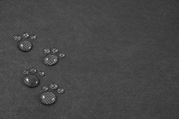 四个小小的动物脚印图片下载